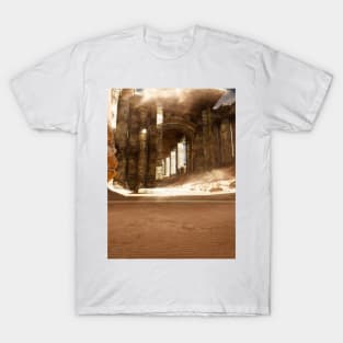 Sand Pillars T-Shirt